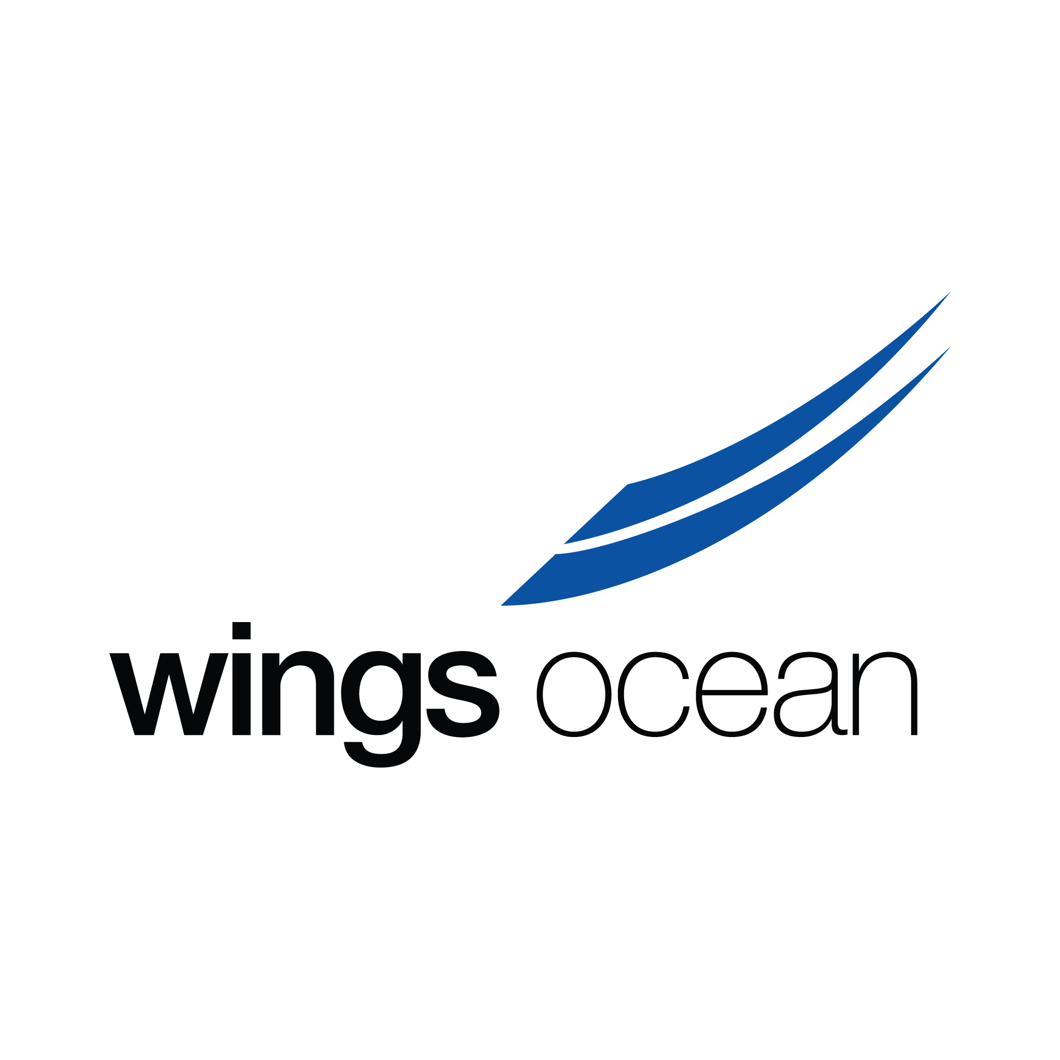 Wings Ocean
